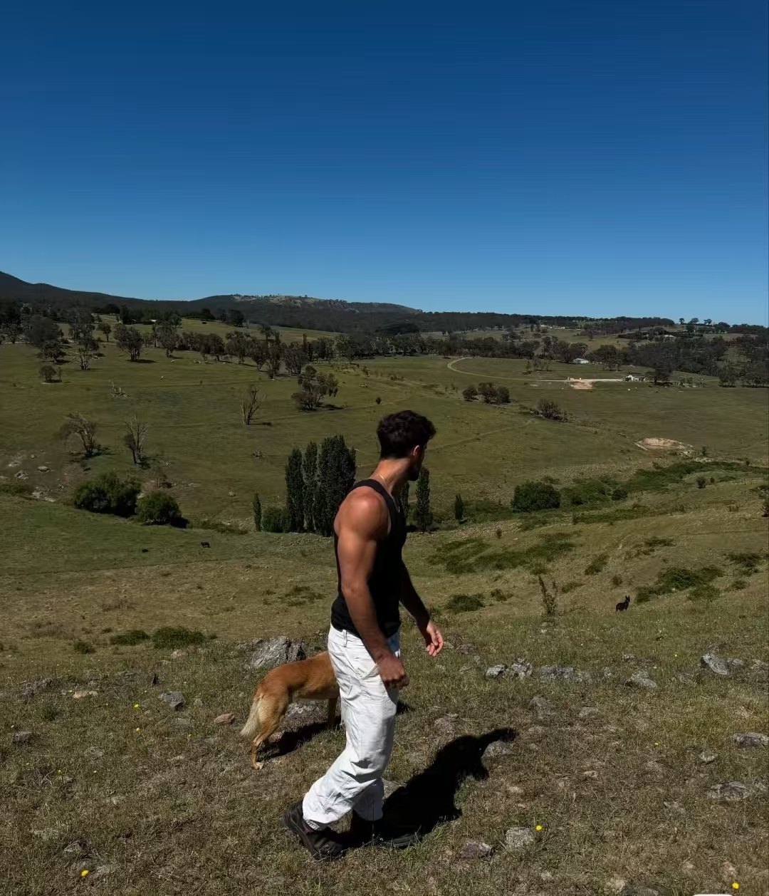 Country Vibes: Me, My Dogs, and the Open Road