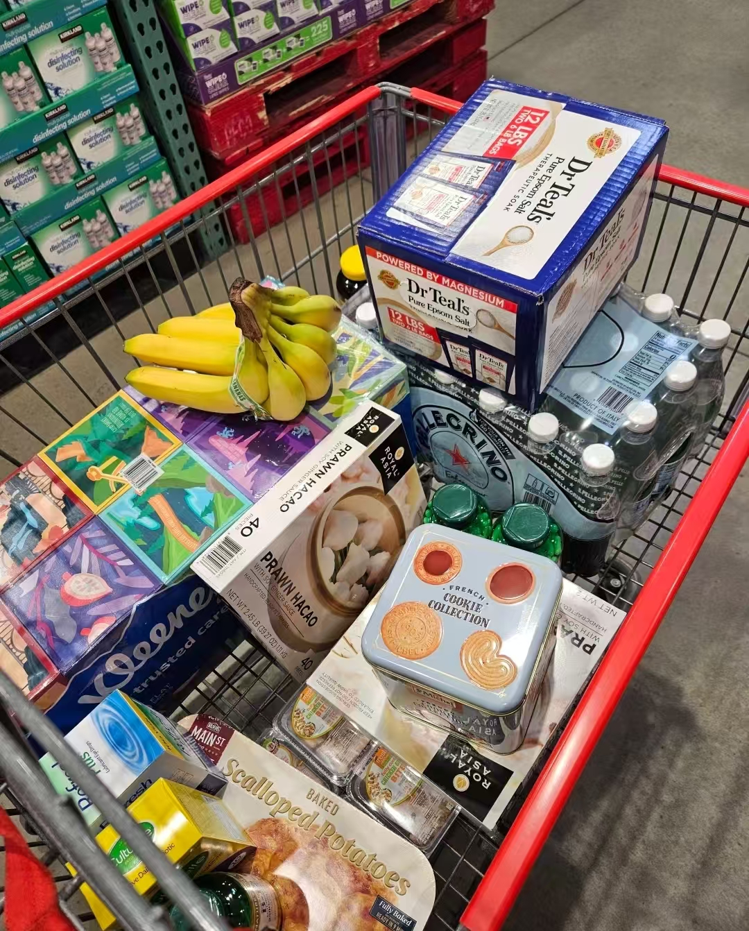 Grocery Cart Goals: All the Yummy Finds 🚀🥑